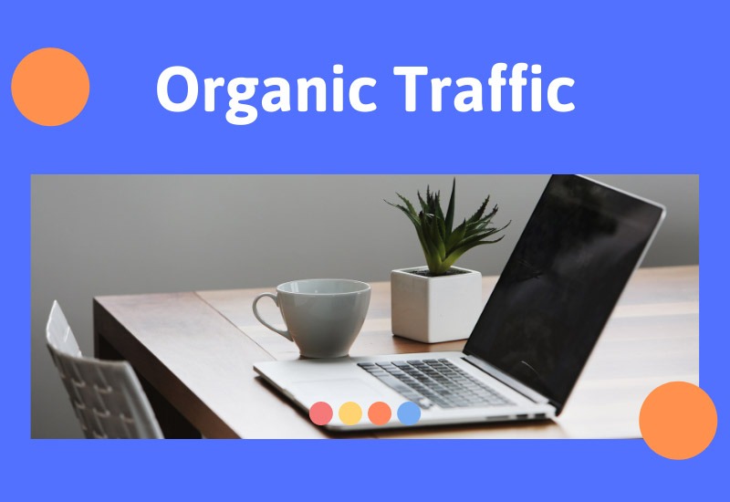 Organic-Traffic-la-gi